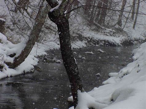 Snowy Creek 2 Photograph By Photographer Bobby Morgan