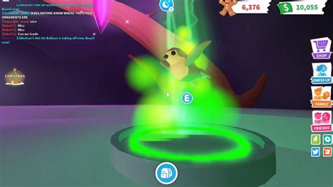 First Neon Robin Making A Fly Neon Robin In Adopt Me On Roblox First