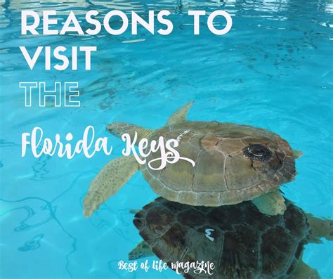 Best things to do in marathon, florida keys. Reasons to Visit Florida Keys as a Travel Destination ...