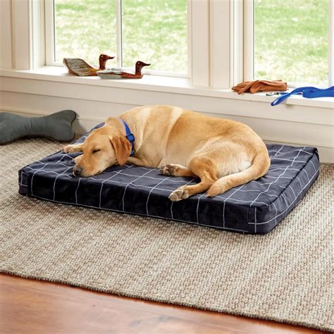 How To Choose The Best Memory Foam Dog Bed For Your Pet Zackspace