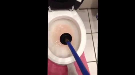 How To Clear A Blocked Toilet Plunger Method