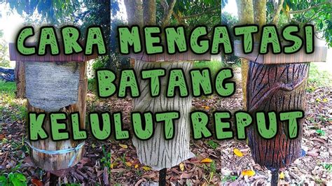 Beberapa cara yang mungkin dilakukan pemerintah dan masyarakat untuk bekerja sama dalam mengatasi pengangguran jangka panjang. Tips & Cara Mengatasi Masalah Log Reput / Simenfero - YouTube