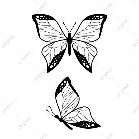 Butterfly Wing Art Silhouette Butterfly Wing Silhouette Png And