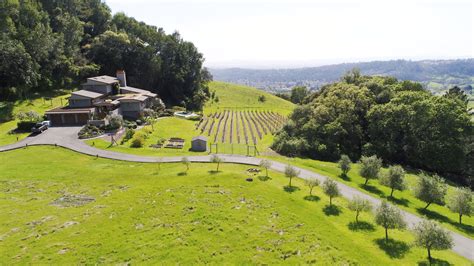 Modern Sonoma Wine Country Luxury Estate