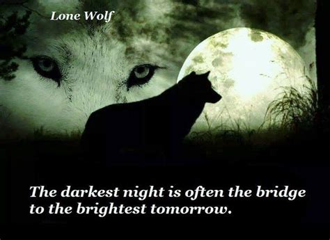 1086 best wolf sayings and wolf wisdom en wolves quotes images on