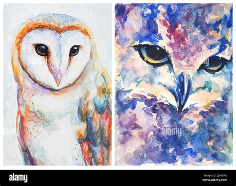 Watercolor Illustration Set Of Cute Forest Birds Stock Photo Alamy