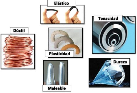 Ejemplo De Plasticidad Brainly Lat