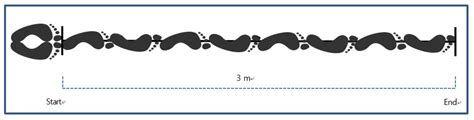 Sometimes used in the clinical diagnosis of certain disorders. KJSB Korea Journal of Spot Biomechanics