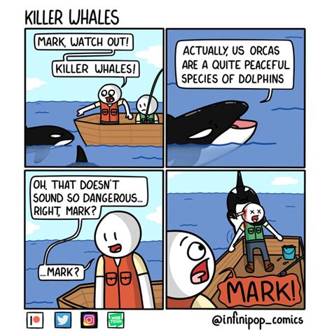 Killer Whales Meme Guy