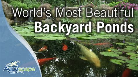 Worlds Most Beautiful Backyard Ponds Youtube