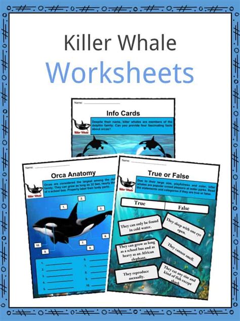 Killer Whale (Orca) Facts, Worksheets, Habitat, Life Cycle & Anatomy Kids
