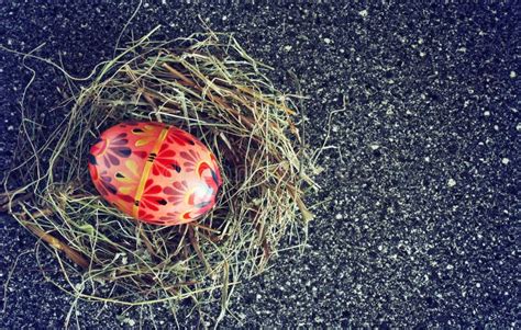 Painted Easter Egg Stock Image Image Of Decoration Nest 66920251