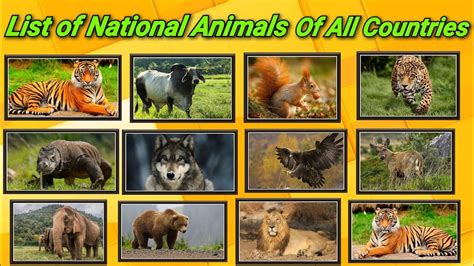 List Of National Animals Of All Countries With Their Scientific Names