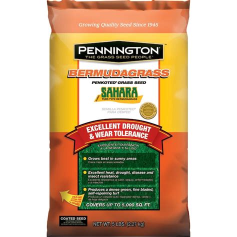 Pennington Sahara 5 Lb Bermuda Grass Seed In The Grass Seed Department