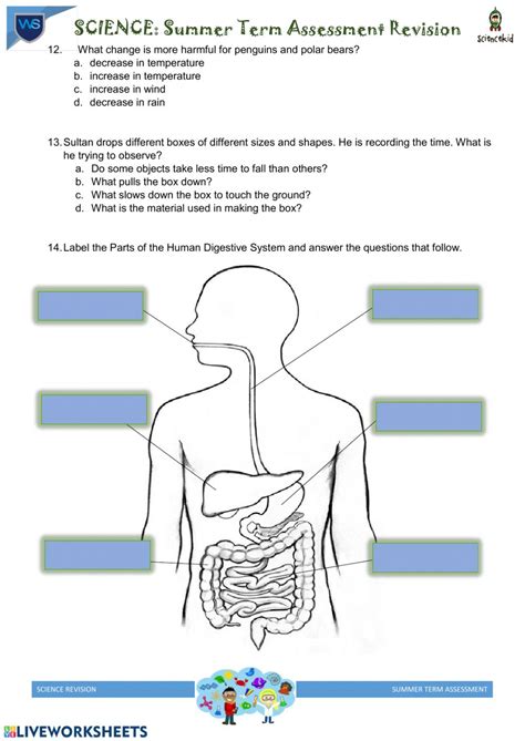 Download as pdf, txt or read online from scribd. Grade 3 Science worksheet