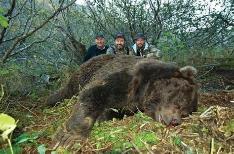 Compare prices & save money with tripadvisor (world's largest travel website). 8-day Alaska Peninsula Brown Bear Hunt for One Hunter ...