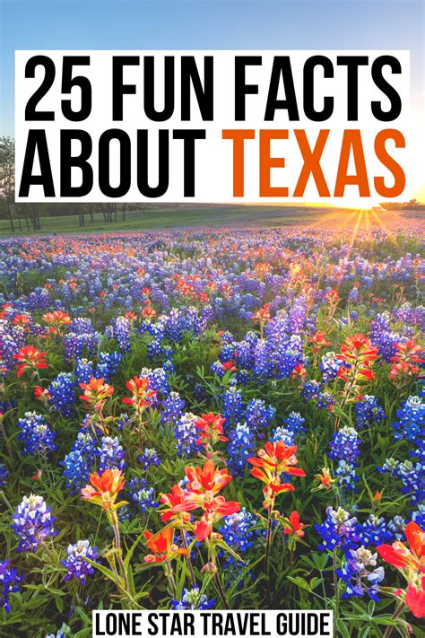 25 Fun Facts About Texas Artofit