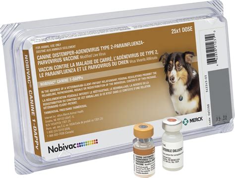 Canine Parvovirosis Merck Animal Health Usa