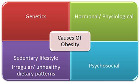 Cocp About Obesity Causes Of Obesity