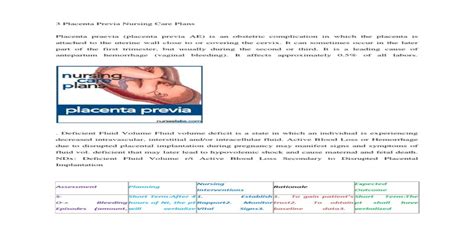 3 Placenta Previa Nursing Care Plans Pdf Document