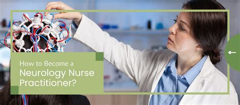 How To Become A Neurology Nurse Practitioner Nurse Practitioner