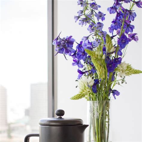 Maybe you would like to learn more about one of these? Coffee and Flowers! How every morning should start! # ...