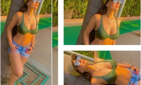 Ameesha Patel Gets Trolled Badly For Showing Cleavage In A Bikini