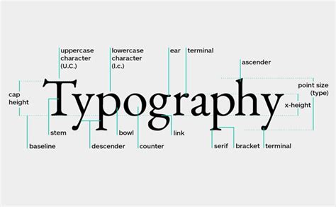Typography là gì Những thuật ngữ cơ bản dân thiết kế cần biết RaoXYZ