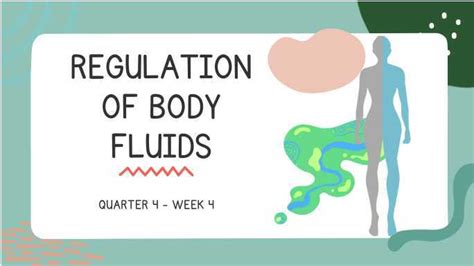 Regulation Of Body Fluids