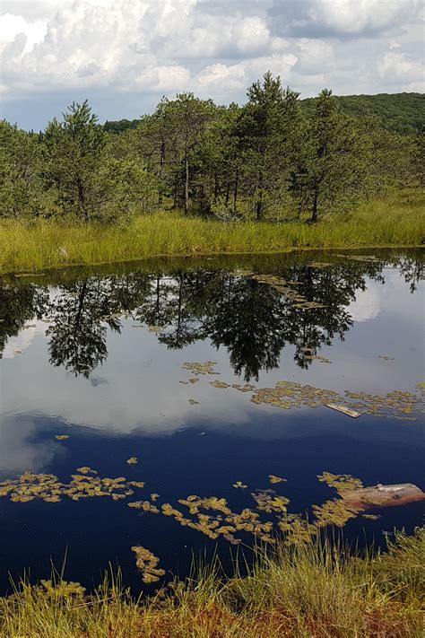 Secure deals and discounts on selected hotels with skyscanner. Weekend itinerary in Covasna and Harghita | Visit romania, Places to see, Itinerary