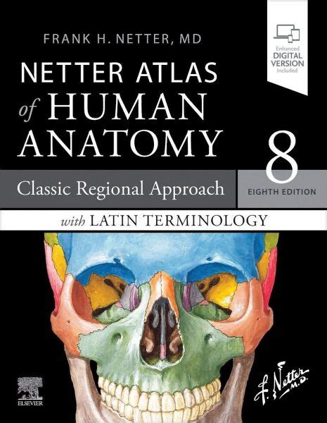 Netter Atlas Of Human Anatomy Classic Regional Approach With Latin