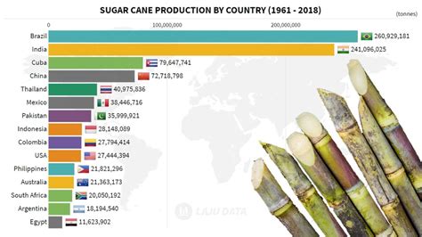 Top 10 Sugarcane Producing Countries In The World Toptenslists