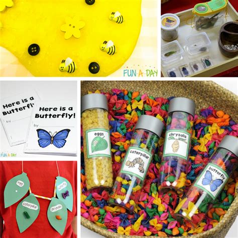 30 Insect Science Activities For Preschoolers Fun A Day
