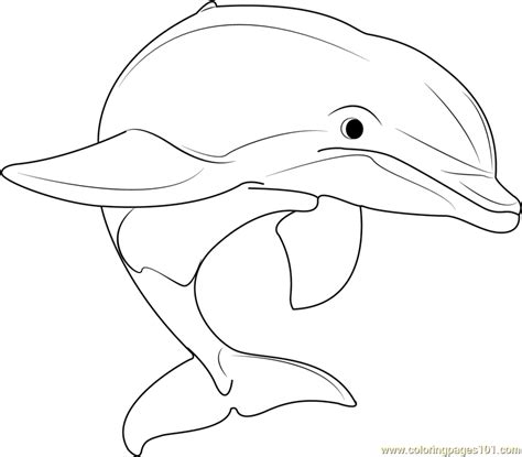 Hector Dolphin Coloring Page
