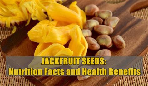 Jackfruit Seeds Nutrition Facts And Health Benefits