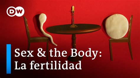 Sex And The Body La Fertilidad Qué Factores Influyen Youtube