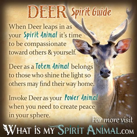 Deer Symbolism And Meaning Animal Symbolism Spirit Animal