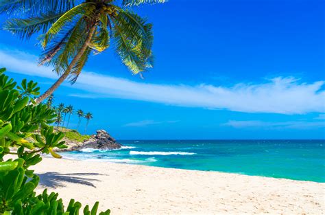 Tropical Beach In Sri Lanka Pure Vacations