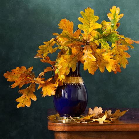 Check spelling or type a new query. Oak Leaves | Still life, Oak leaf art, Leaf art
