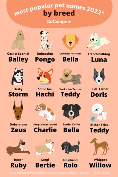 57 Breeds Of Dog Chart Svg  Png 1620 Ph