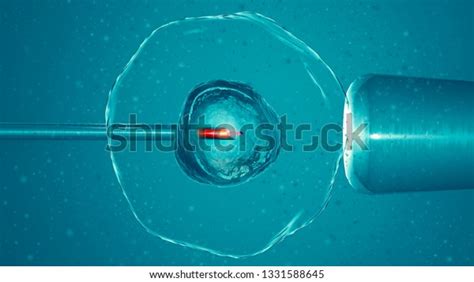 Artificial Assisted Fertilization Process By Which Stock Illustration