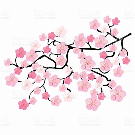 Sakura Flower Clipart Free Download On Clipartmag