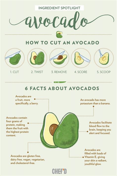 22 Infographics For Avocado Lovers Part 3