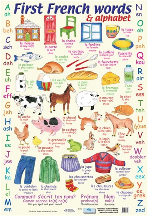 First French Words Learning Chart