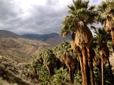 Palm Canyon Trail to Stone Pools – Palm Springs, California | Brian's hikes