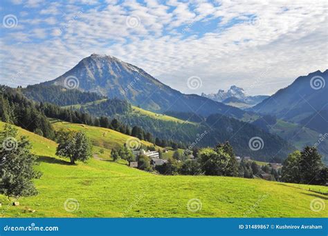 Green Alpine Meadow On A Hillside Stock Image Image Of Summer Season