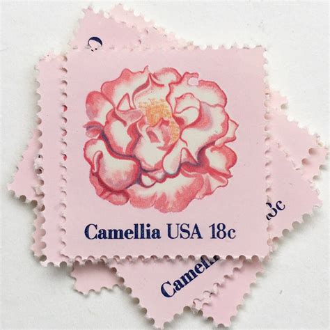 Pink Camellia Unused Postage Stamps For Wedding Invitations Etsy