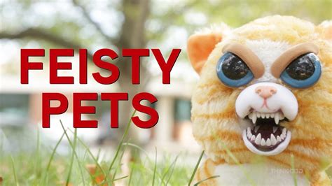 They're cute and lovable, but with just a. Feisty Pets from ThinkGeek - YouTube