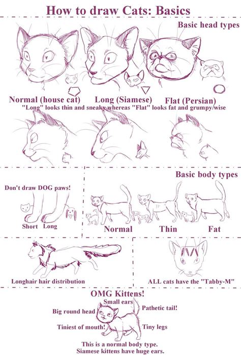 how to draw cats by stock on deviantart tips and tutorials drawing and