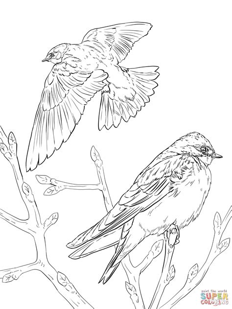 Coloring pages are fun for children of all ages and are a great educational tool that helps children develop fine motor skills, creativity and color recognition! Realistic Tree Swallows coloring page | Free Printable ...